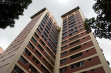 Blk 427 Bukit Panjang Ring Road (Bukit Panjang), HDB 5 Rooms #209122